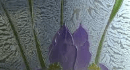 ice colour flower glass-1